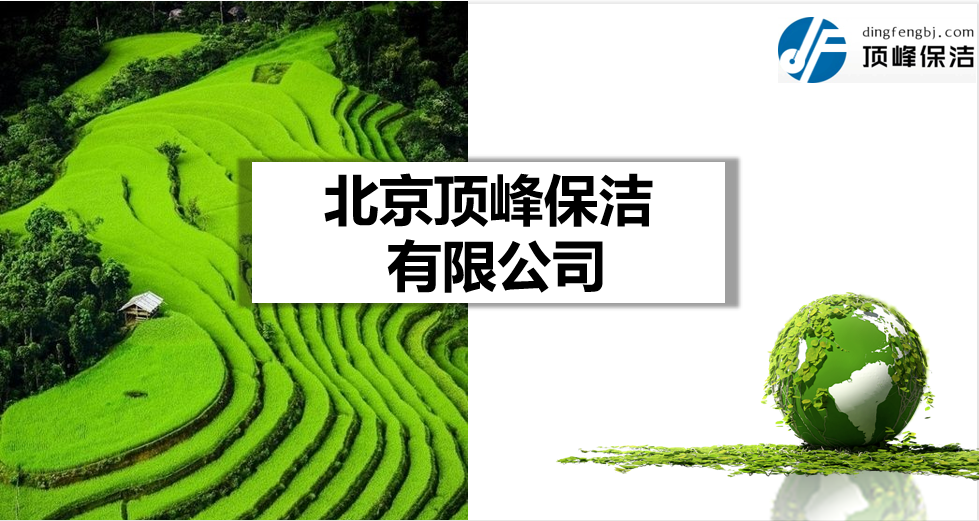 公司介绍